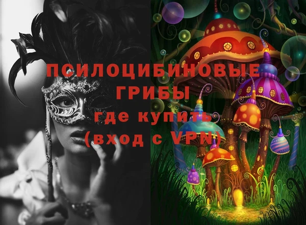 ПСИЛОЦИБИНОВЫЕ ГРИБЫ Баксан