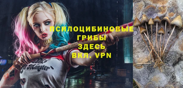 ПСИЛОЦИБИНОВЫЕ ГРИБЫ Баксан