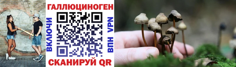 где продают наркотики  Кубинка  Псилоцибиновые грибы Magic Shrooms 