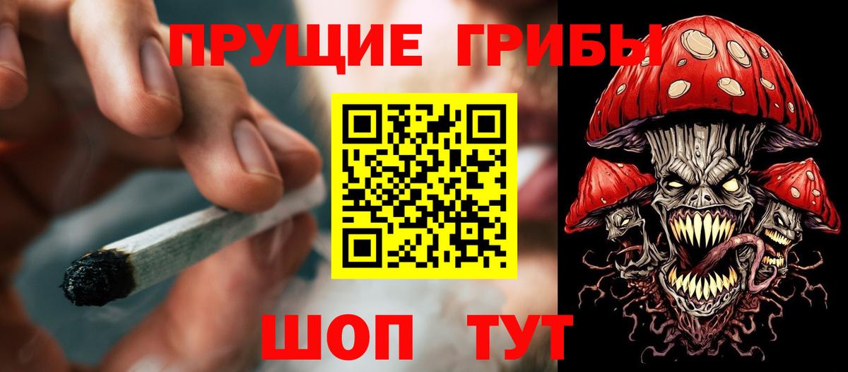 Кубинка  Псилоцибиновые грибы GOLDEN TEACHER  Вход с VPN  Псилоцибиновые грибы мухоморы 