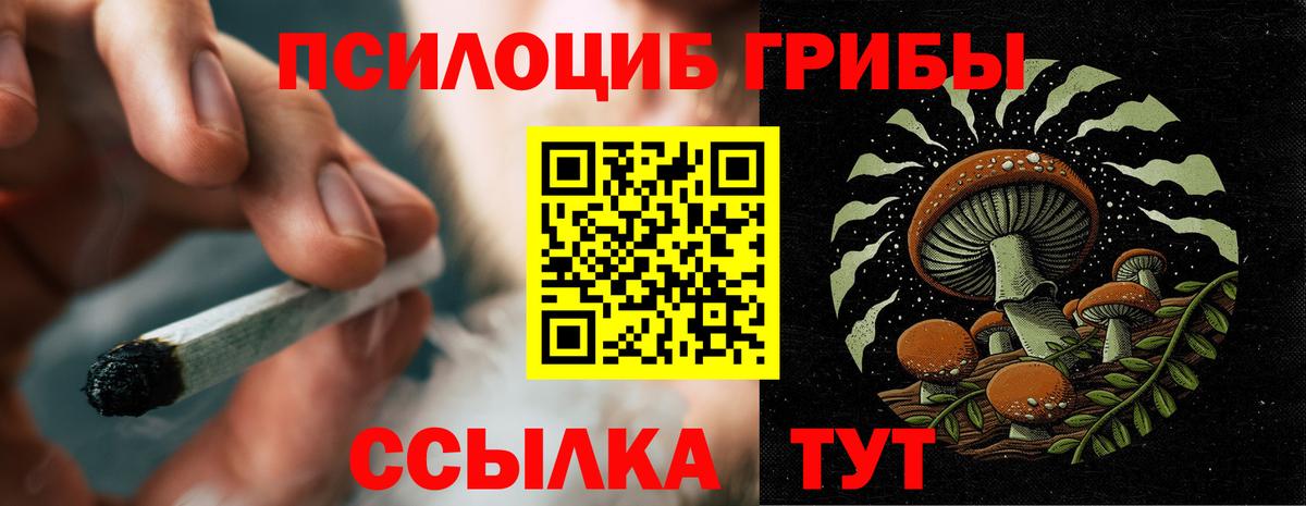 Псилоцибиновые грибы ЛСД Кубинка